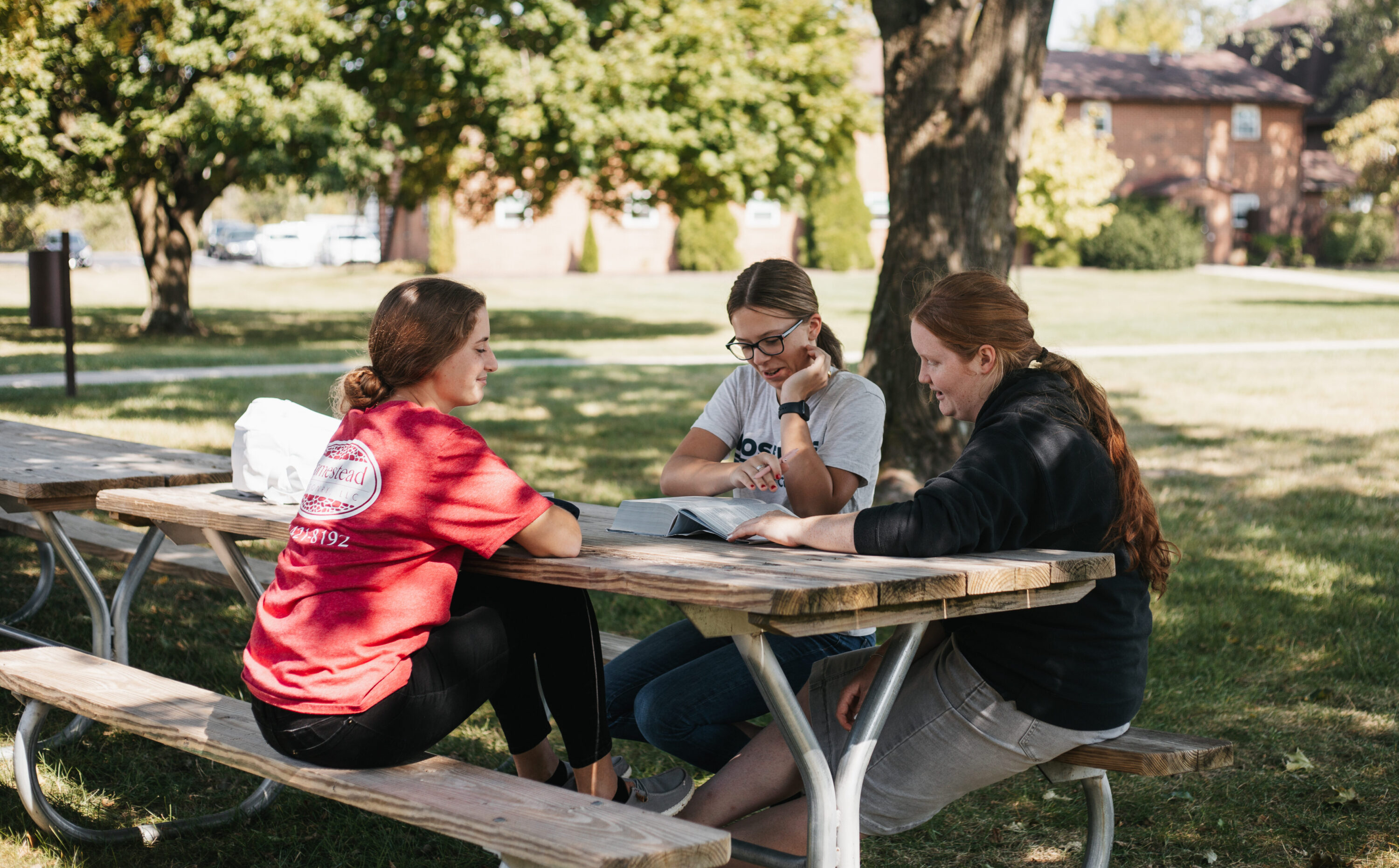 Students studying at a picnic table on the RBC lawn.