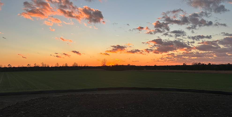 Sunset over the field around the Rosedale Bible College campus