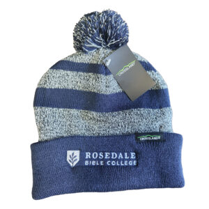 Striped Beanie